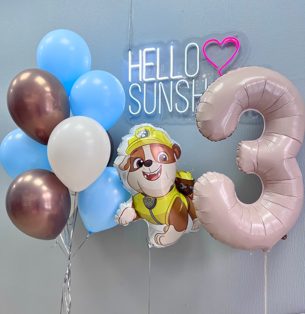 Набор шаров Щенячий патруль Крепыш