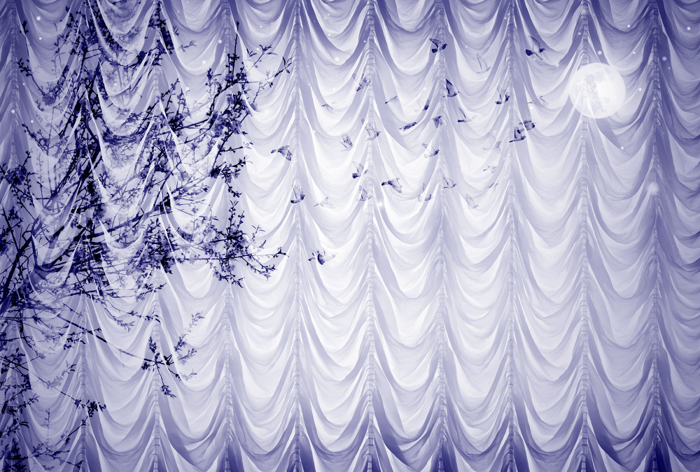 Коллекция FRAME