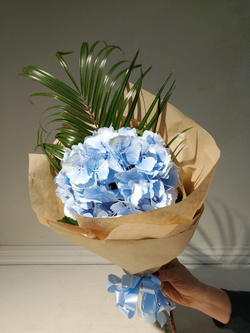 Комплимент с гортензии небесно-голубого цвета (М0030)