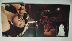Винтажная виниловая пластинка LP Donna Summer Live And More (Germany 1978)