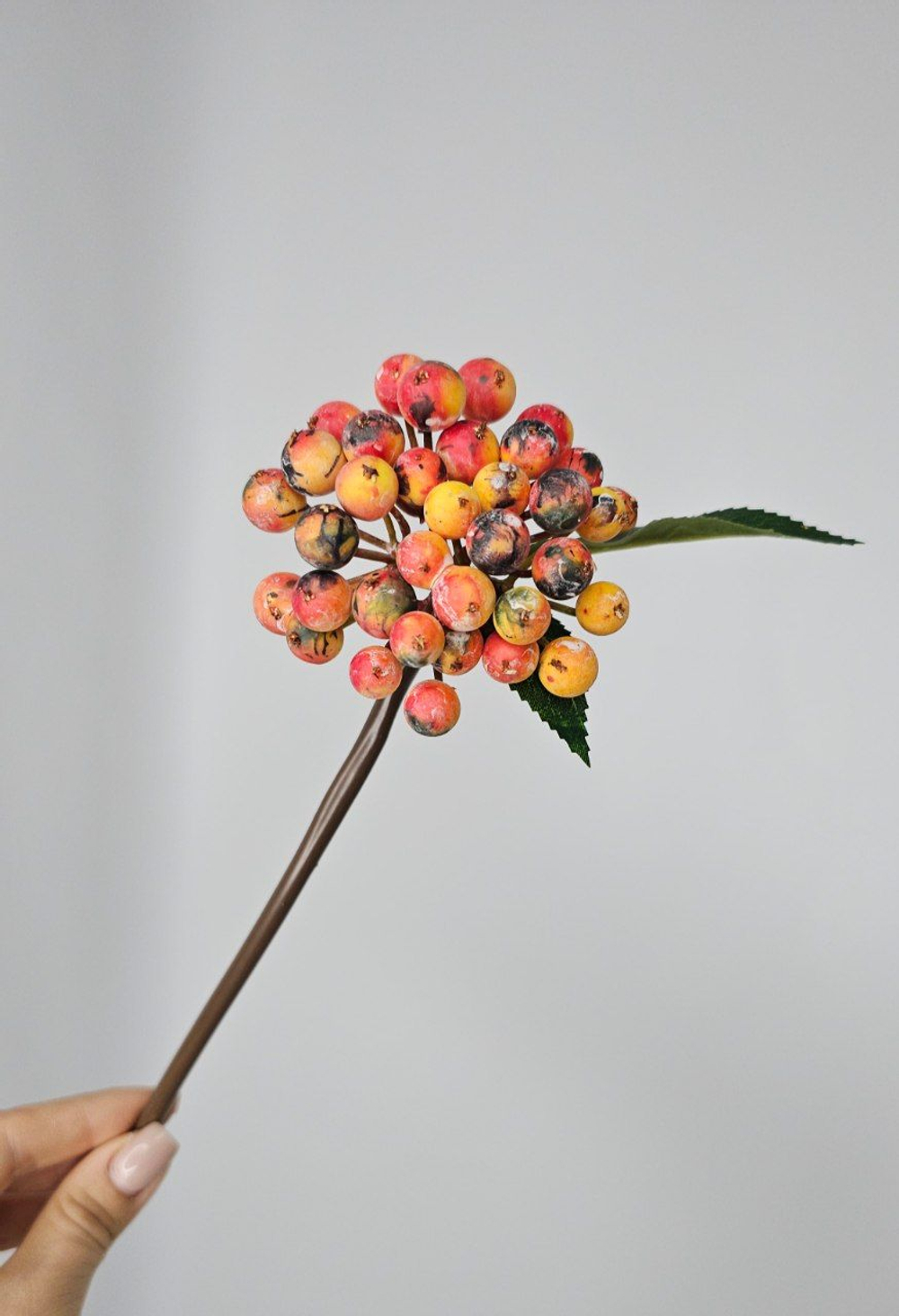 Ягоды / Арт 8047