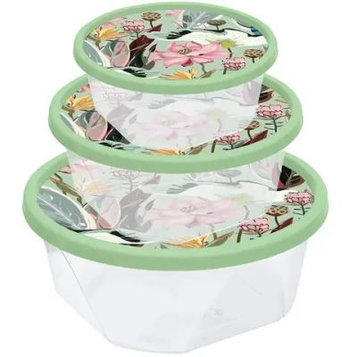 Набор контейнеров для продуктов 3шт (0,4л+0,85л+1,4л) «Botanica» с декором зеленый