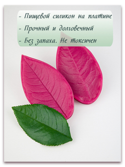 Лист розы XL