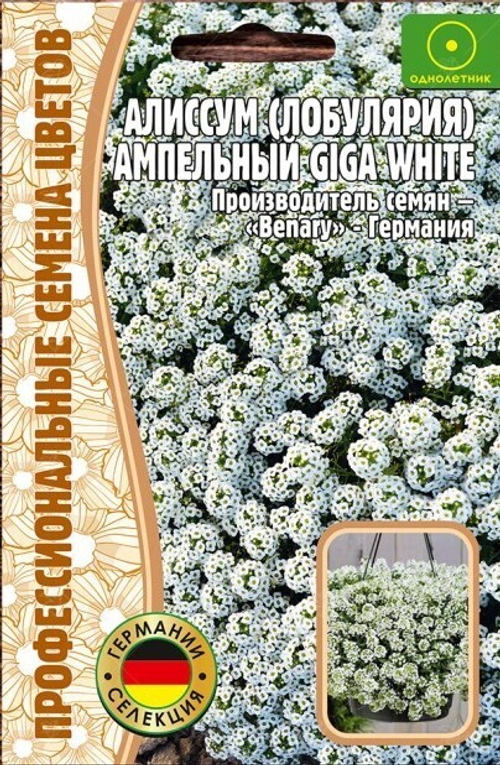 Алиссум (лобулярия) ампельный Giga Wihte