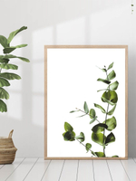 Набор постеров 40х50 растения 3 шт арт 156986686 ТТН 246259226