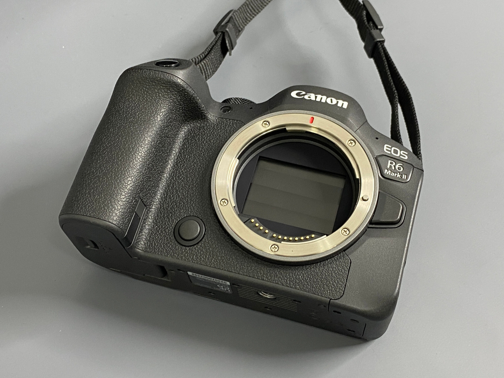 Canon EOS R6 Mark II 1000 кадров