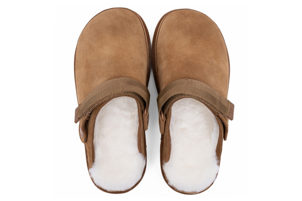UGG Goldenstar Clog Chestnut