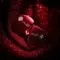 MoonDrop Aria 2 Ruby
