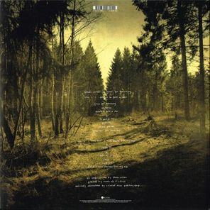 Steven Wilson / Grace For Drowning (2LP)