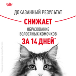 Royal Canin Hairball Care Хэйрболл Кэа Корм сухой для взрослых кошек профилактика образования волосяных комочков 10кг