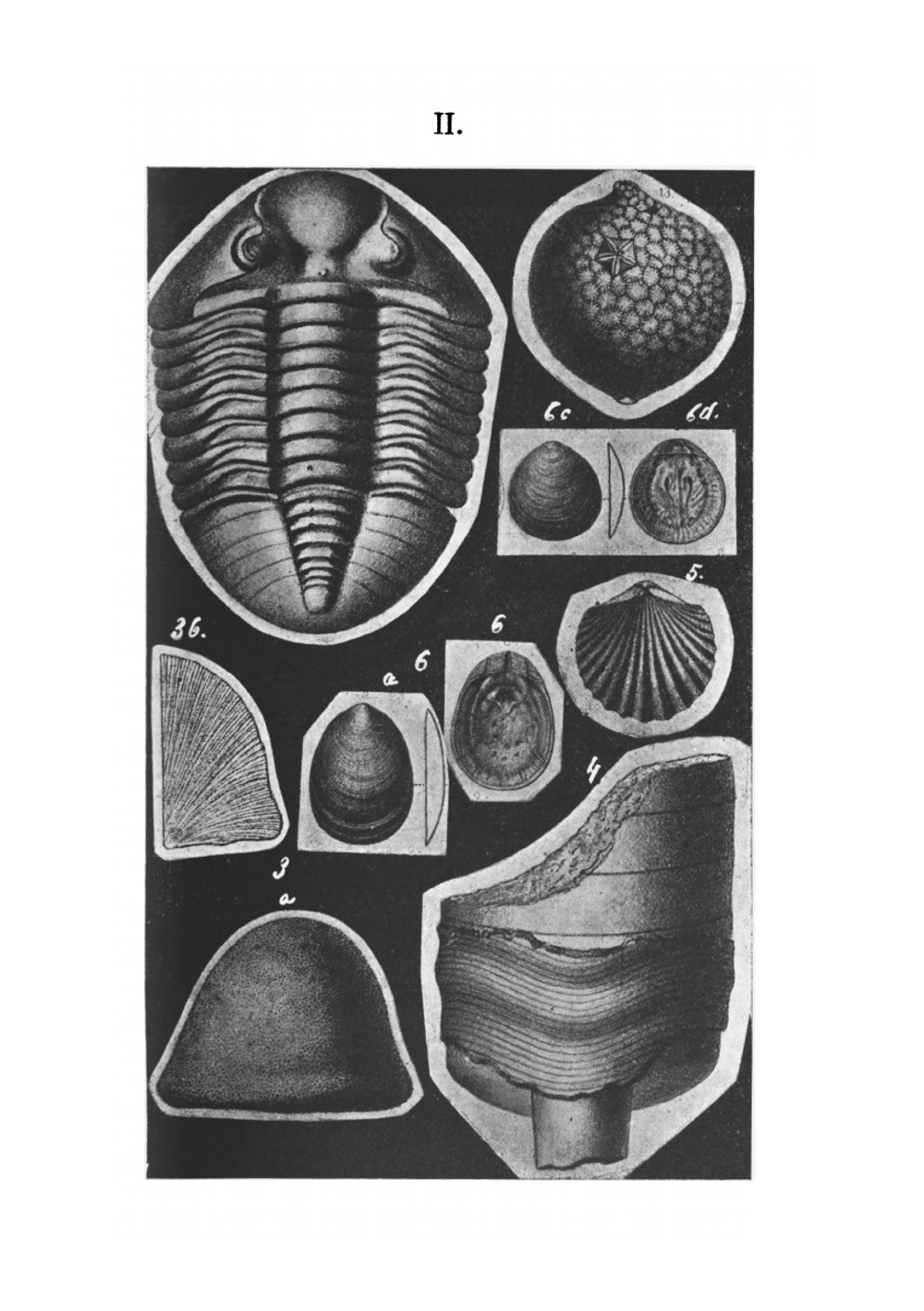 Особенности Нарвского края | Е. Беллен