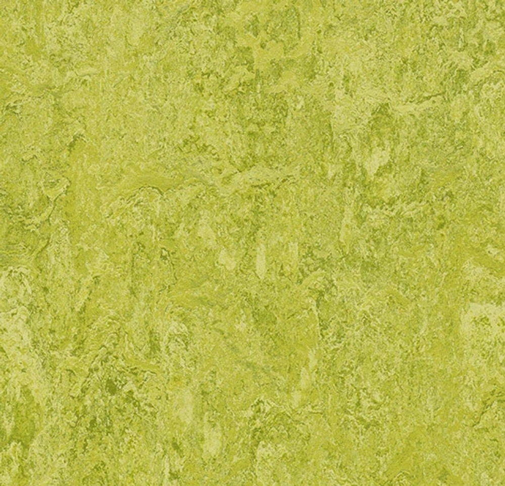 marmoleum real