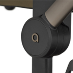 Детская коляска Anex Flo 2 в 1 Astra