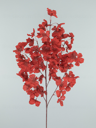 Ветка сакуры Асами