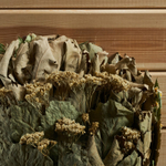 Веник-букет (дуб, береза, тысячелистник, ромашка)_4.jpg