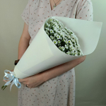 Ромашки-Милашки -S