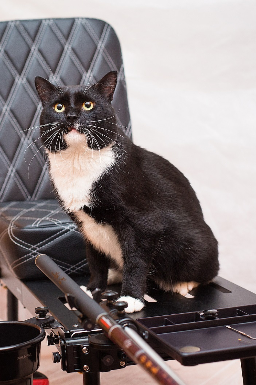 Поднос универсальный пластиковый с ячейками