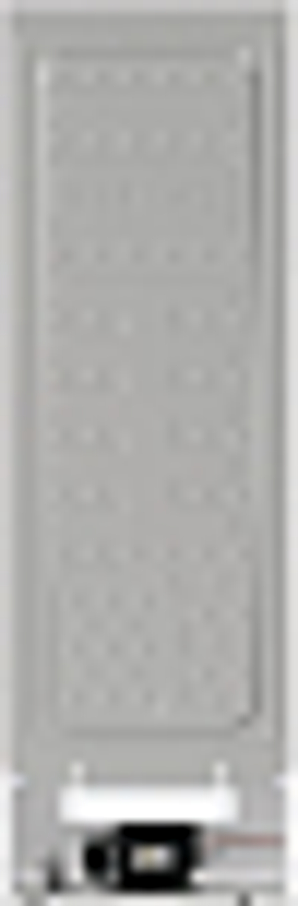 Морозильный шкаф Gorenje FN619FEW5