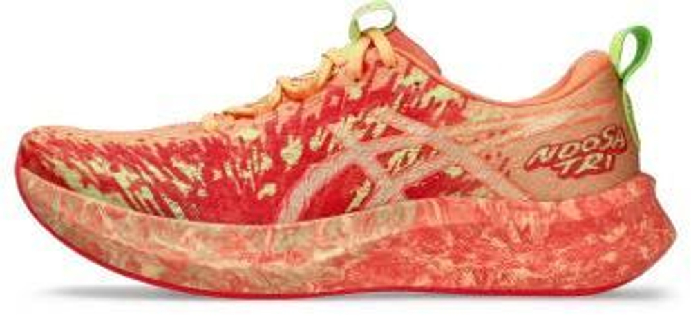 Кроссовки Asics NOOSA TRI 16