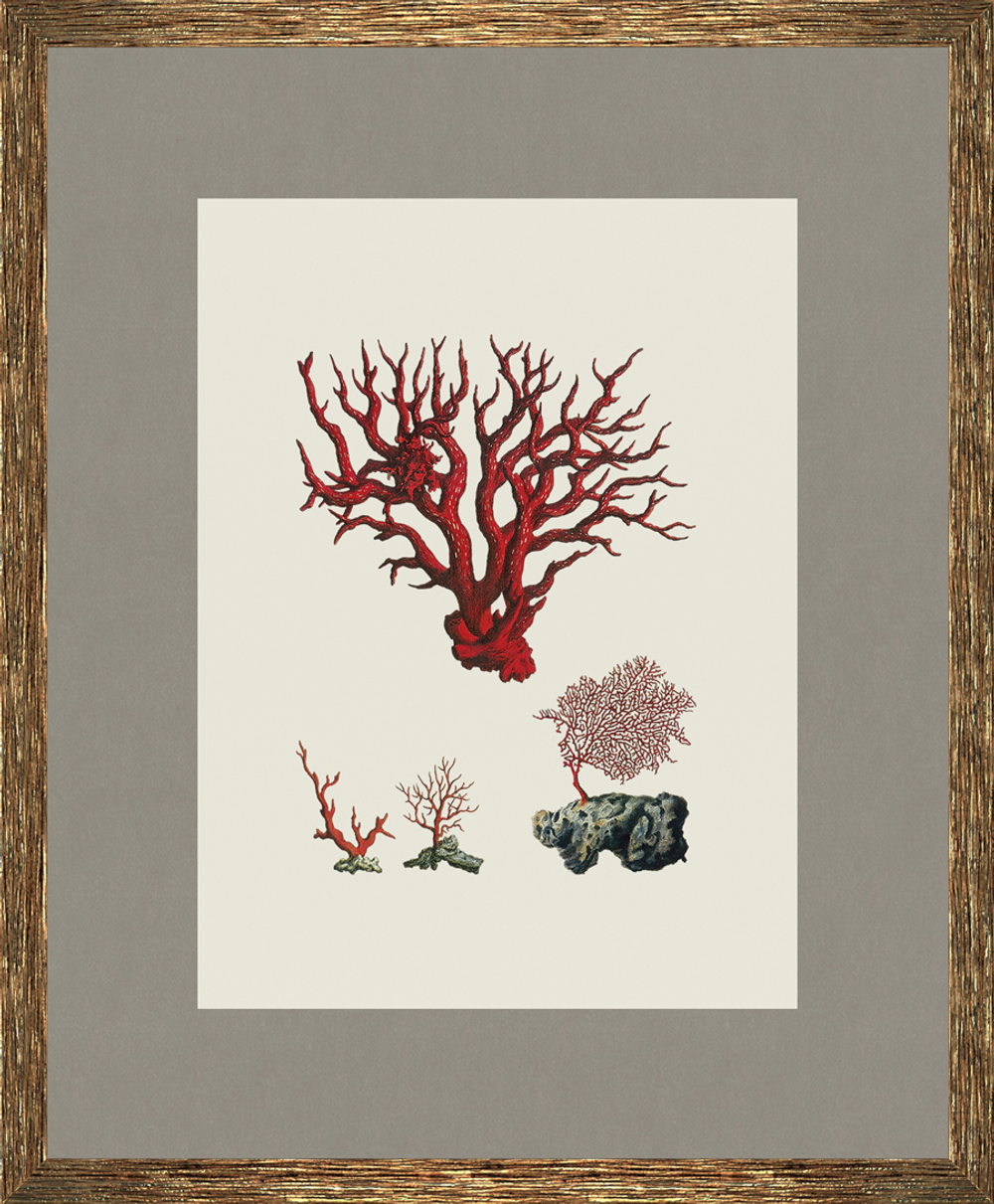 Картина 327 (X)