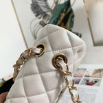 Chanel Flap 25 cm