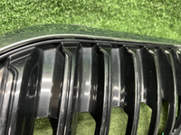 Решетка радиатора Skoda Octavia A7 (2017-2020)
