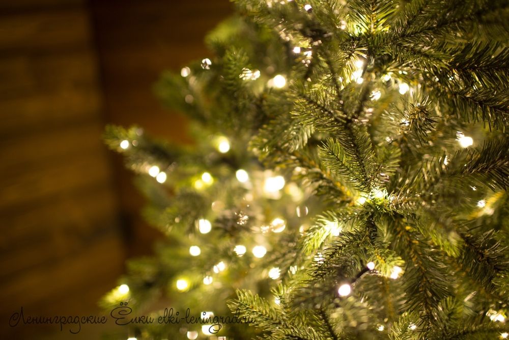 "ГРАЦИО ПРЕМИУМ" Светящаяся 12