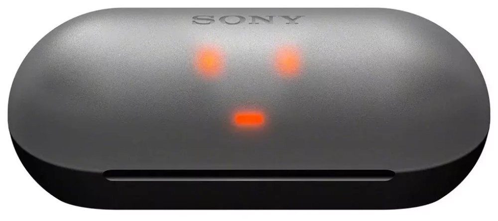 Беспроводные наушники Sony WF-C500, черный