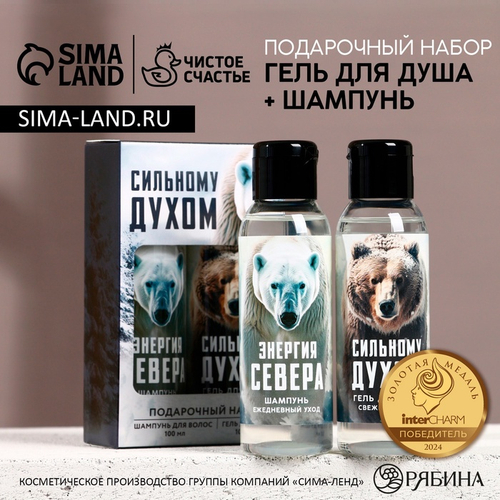 Подарочный набор новогодний «Сильному духом»: гель для душа и шампунь для волос, 2×100 мл, Чистое счастье