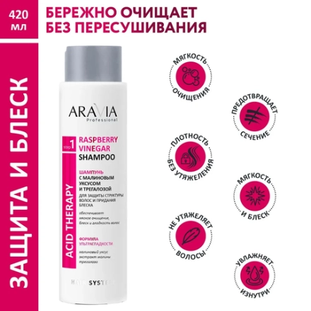 Шампунь с малиновым уксусом и трегалозой / Hair System Raspberry Vinegar Shampoo 420 мл