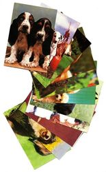 Календарики