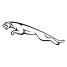 Jaguar Jaguar