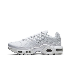 Детские кроссовки Nike Air Max Plus 'White Metallic Silver' CW7044-100