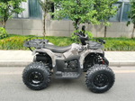 Квадроцикл MOTAX GRIZLIK T 200