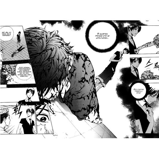 Манга Крушитель. Том 5