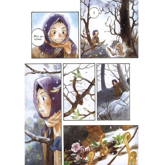 Манга Знаток муси. Том 4