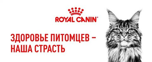 Уценка! Повр.упак/ Корм для стерилизованных котов и кошек, Royal Canin Sterilised 37, в возрасте от 1 года до 7 лет