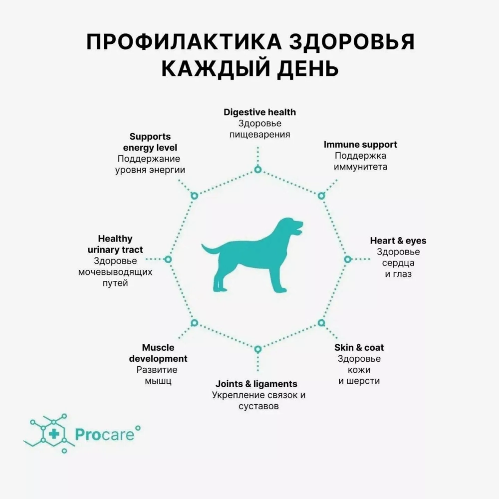 Корм сухой для собак мелких пород с индейкой и рисом, пакет 1кг,  Grandorf Dog Turkey & Rice Mini