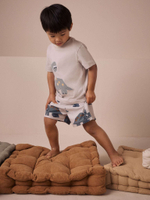 Пижама для мальчика Next AC0-926, 3 шт., Голубой, Белый, Темно-синий