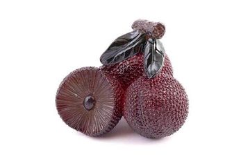 Figurka herbaciana zmieniająca kolor „Yamberi Voskovnitsa red”