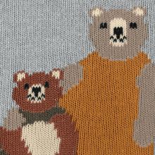 Носки Bear Family FALKE 10463/3355
