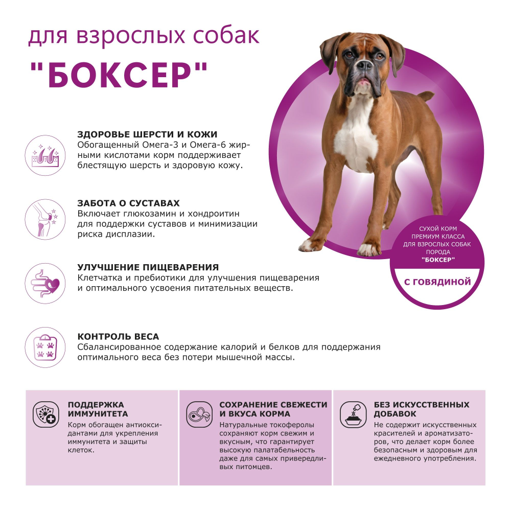 Корм сухой для взрослых собак породы Боксер, премиум полнорационный комплекс, с говядиной, 2,5 кг, QUATTRO
