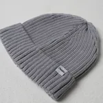 Шапка Dissident "Basic Logo" Серая