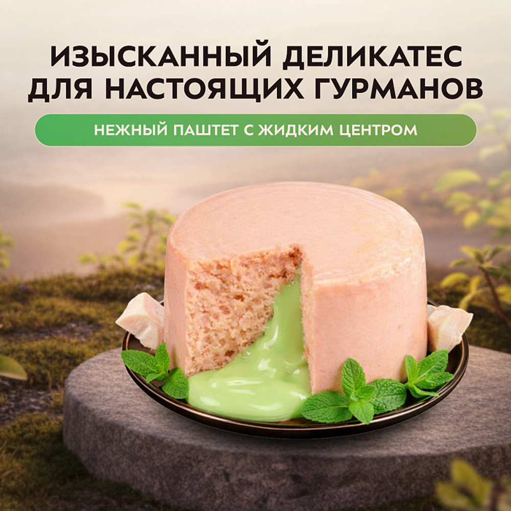 Влажный корм для кошек Деликатес Фондан из мяса курицы с кошачьей мятой Мнямс 80 г 6 шт