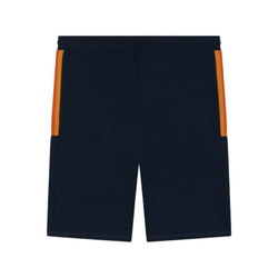 Теннисные шорты Roland Garros Color Lines - navy blue