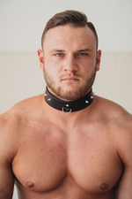 Коричневый кожаный ошейник увеличенного размера (Цвет: коричневый)