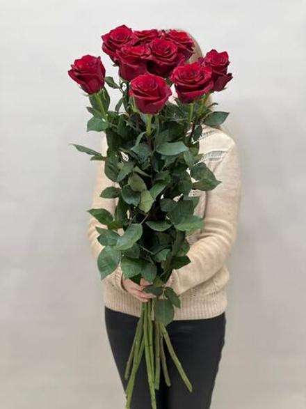 Букет 9 метровых роз красные в ленте