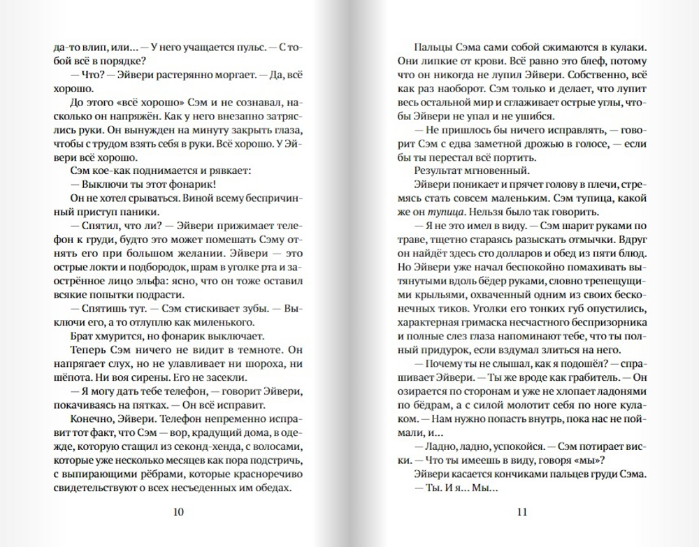 Мальчик, который крадёт дома