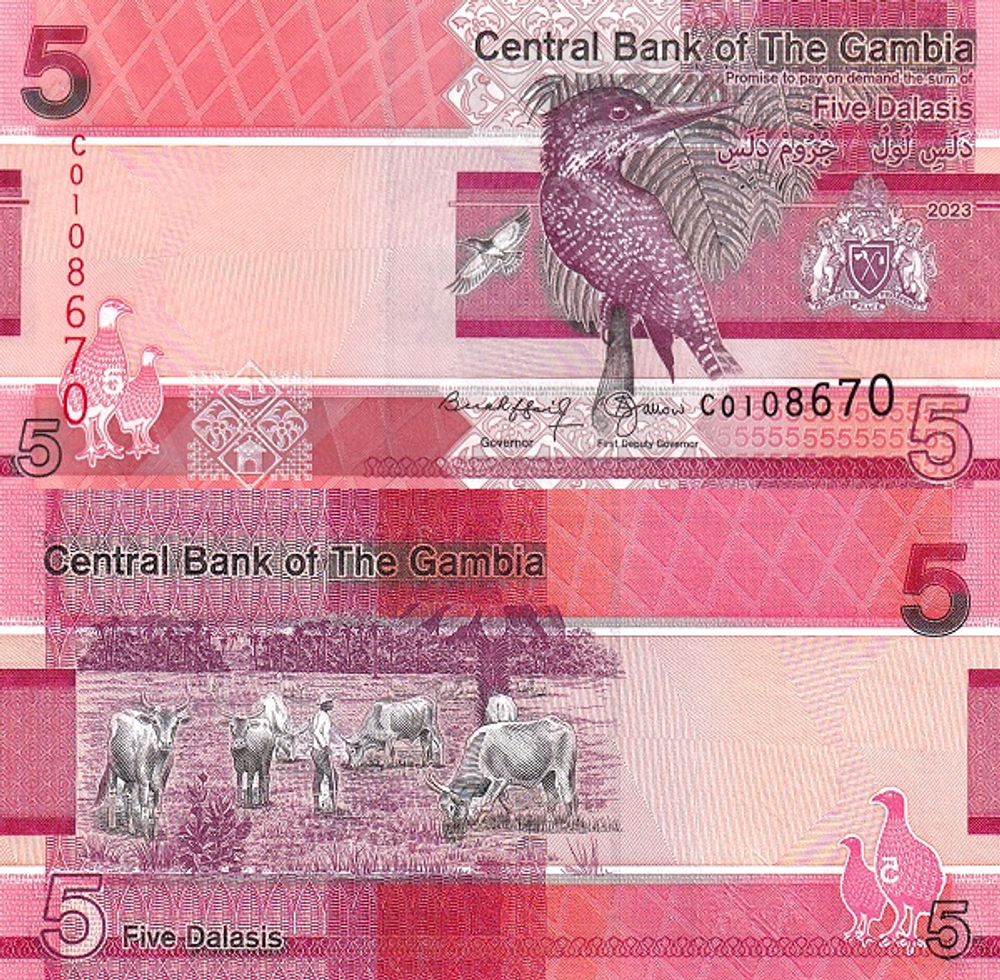 Гамбия 5 даласи 2019 - 2023 Гигантский зимородок UNC