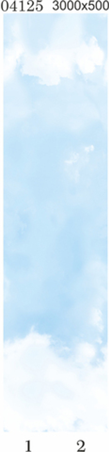 Потолочная панель Panda 04125 "Небо", панно 3000*500